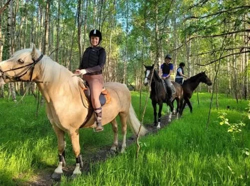 🌿🐎 LUGN UTERITT FÖR VUXNA – SKÄRTORSDAG 17/4! 🐎🌿