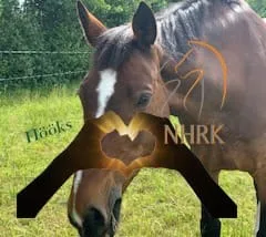 NHRK ÄR STOLTA ATT ÄNTLIGEN FÅ PRESENTERA HÖÖKS SOM LEVERANTÖR AV NHRK´S KLUBBKLÄDER