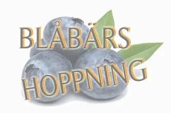 PRELIMINÄR STARTLISTA BLÅBÄRSHOPPNING 10/12-23