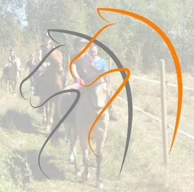 SOMMARLÄGER PÅ NHRK 2024