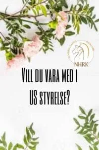 🎉 VILL DU VARA MED OCH GÖRA SKILLNAD I NHRK:S UNGDOMSSEKTION? 🎉